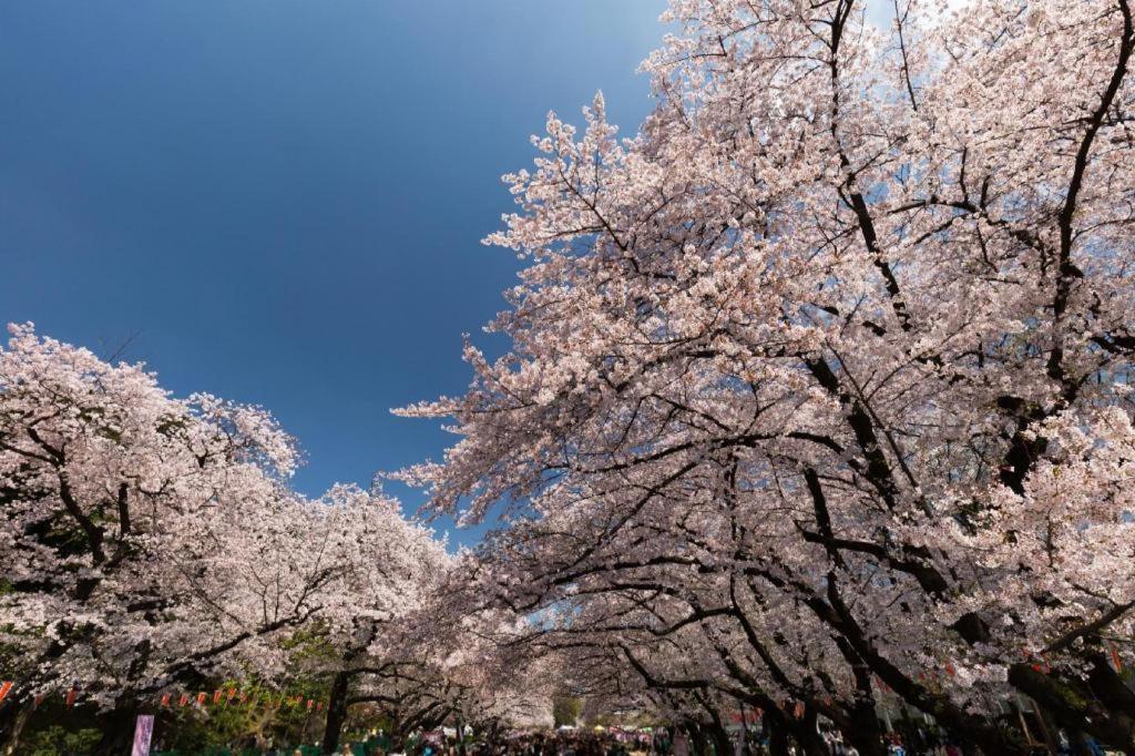 Hotel Bougainvillea Minowa Токио Экстерьер фото